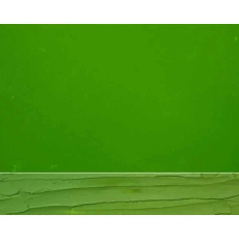 Olejová farba LEFRANC BOURGEOIS Fine - 40 ml v tube - 556 Light Green - Svetlá zelená
